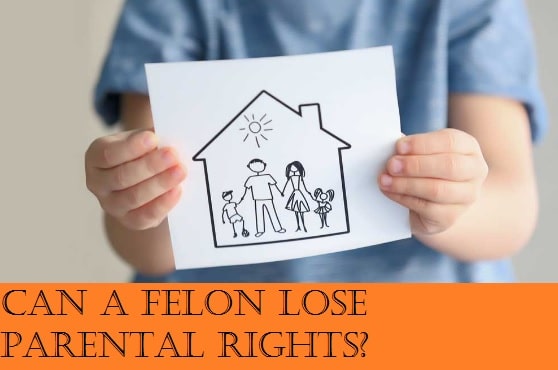 Can a felon lose parental rights?