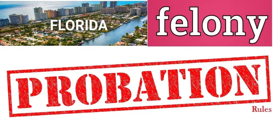florida felony probation rules