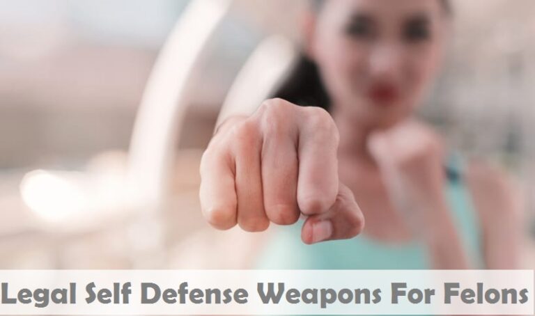 Legal Self Defense Weapons For Felons 2022 [Updated]