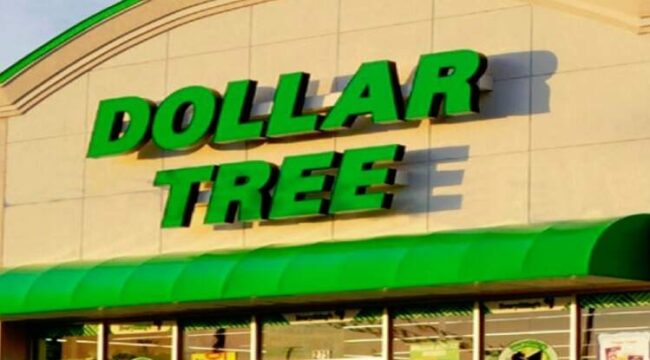 Dollar Tree Hiring Process