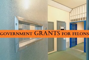 Government Grants for Felons