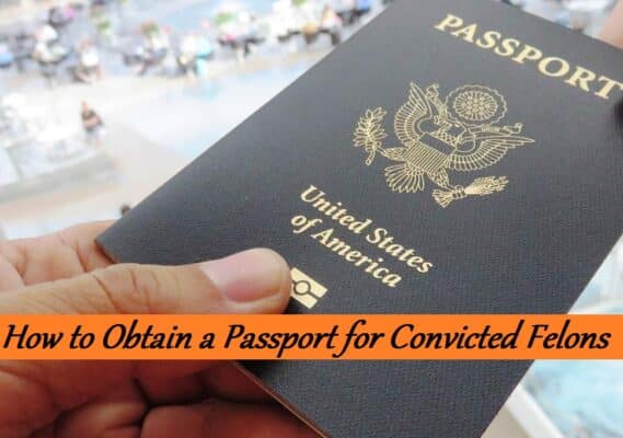Lush Can You Have A Passport With A Felony Abstract for Mobile Lush Can You Have A Passport With A Felony Abstract for Mobile