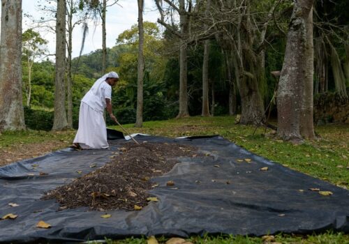 Can Felons Travel to Brazil? (Information and Rules you Need to Know)