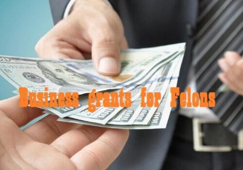 How to get Business grants for Felons