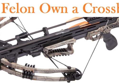 Can a Felon Own a Crossbow?