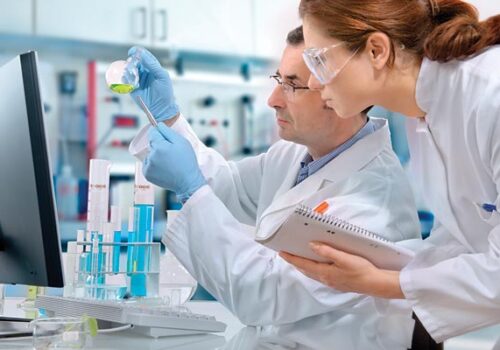 Does Whole Foods drug test its Employees?