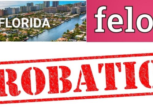 Florida felony probation Rules