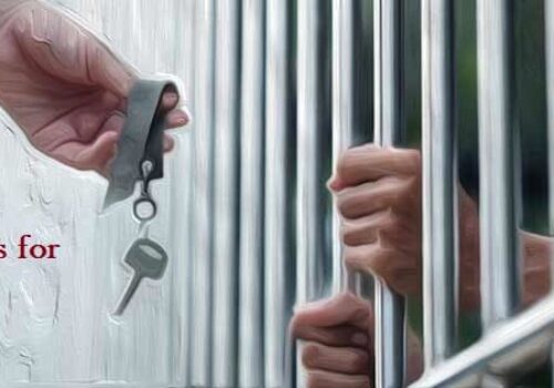 Felons Re-entry Programs Across All States