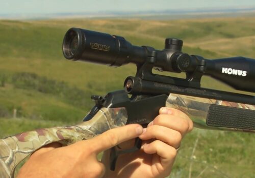 Can a Felon Own a Muzzleloader?