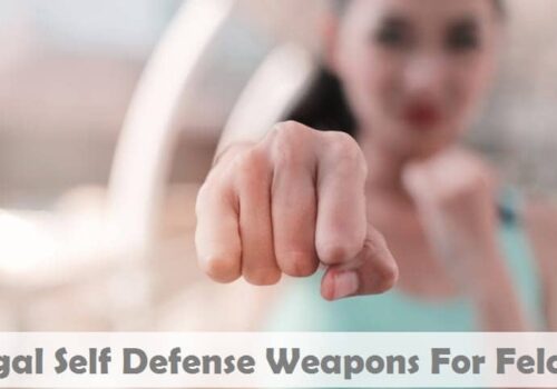 Legal Self Defense Weapons For Felons