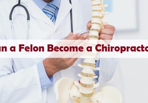 Can a Felon Become a Chiropractor?
