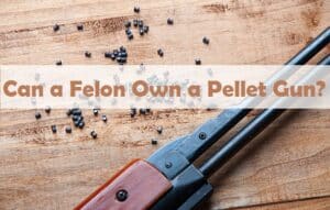 Can a Felon Own a Pellet Gun?