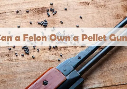 Can a Felon Own a Pellet Gun?