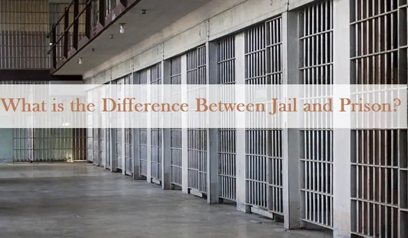 Difference Between Jail And Prison
