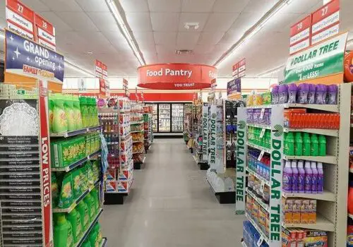 Does Dollar Tree Hire Felons?