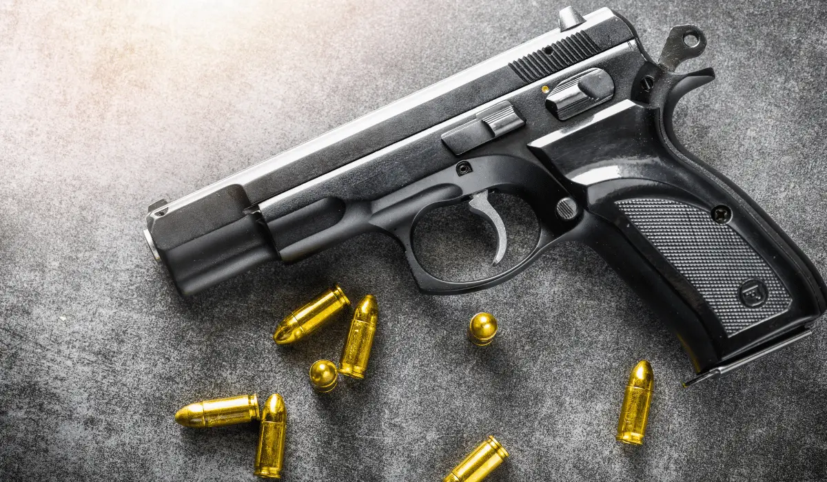 Can a Felon Own a Muzzleloader in 2022? [Updated]